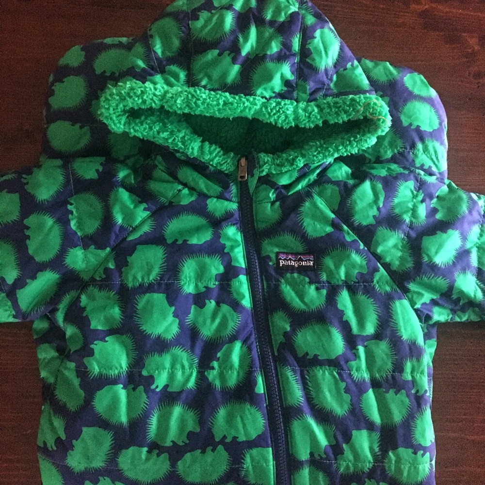 Patagonia Puffball Bunting